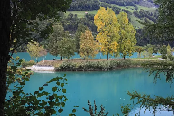 La presqu’île arborée de l’Inseli sur le lac de Lungern