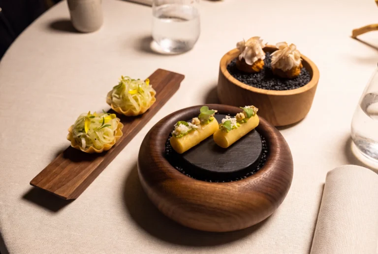 Feine Amuse-Bouche auf Holzbrettern mit Törtchen, Cannelloni und Häppchen im Restaurant Roots in Basel, Gourmet-Küche von Pascal Steffen, Restaurant-Transfer ab Zürich mit Chauffeur